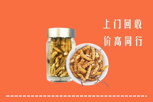 收购行情：黔西南州晴隆县回收冬虫夏草